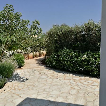 فيلا La Conchiglia بتروسينو المظهر الخارجي الصورة
